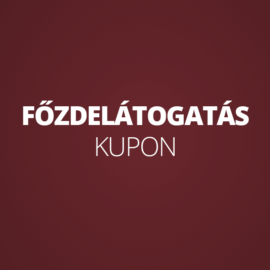 FŐZDELÁTOGATÁS